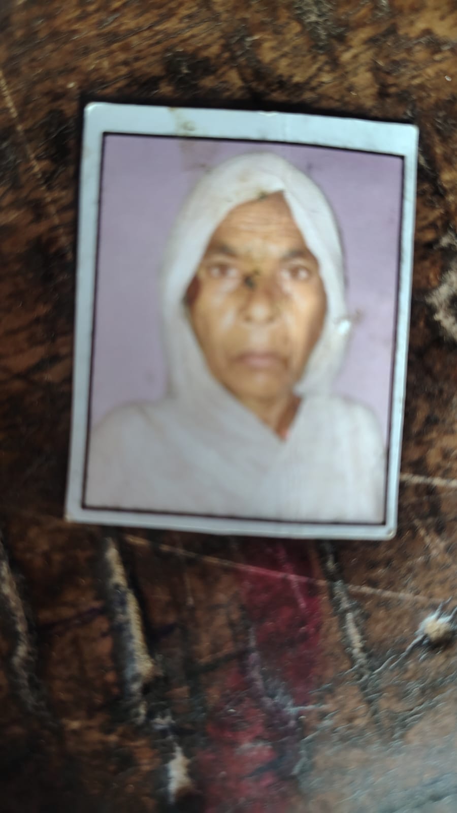 फोटो - 01 मृतक जमीला की फाइल फोटो।