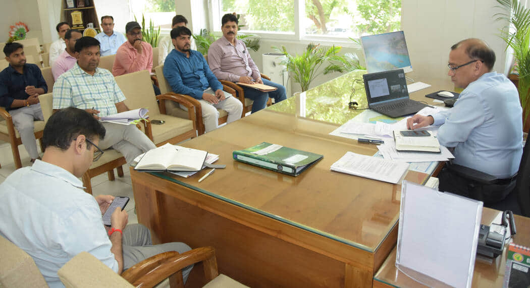 Both Power Grid projects should be completed within the stipulated time frame: DC