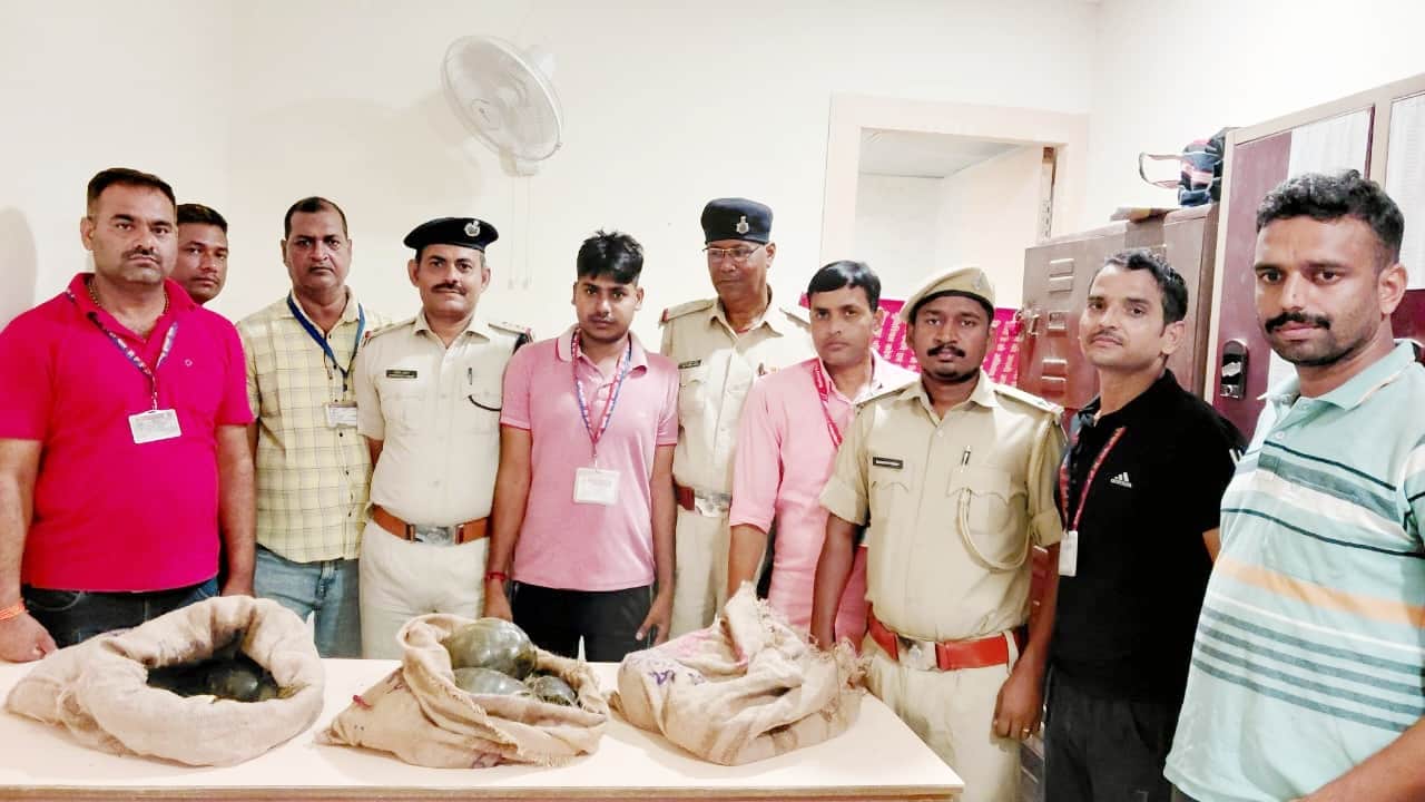गयाजी जंक्शन पर ट्रेन से 45 जीवित कछुए बरामद