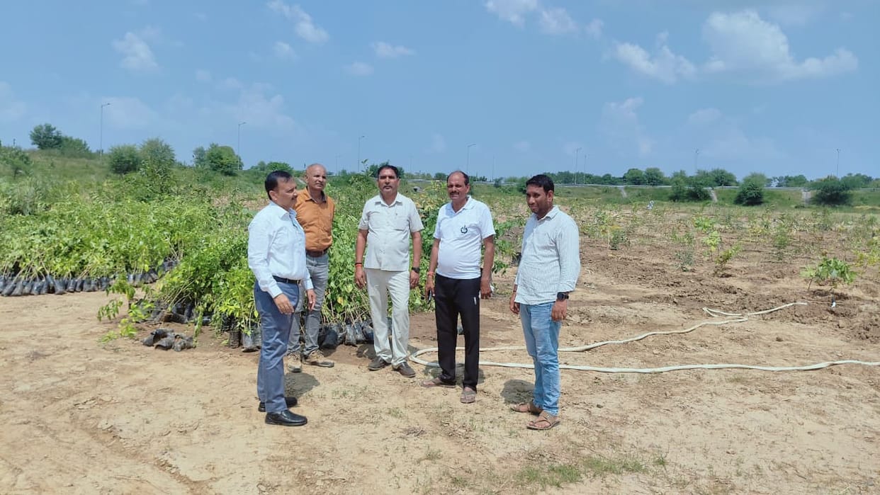 'Namo Van' gift to be unveiled today; saplings of 72 species to be planted.
