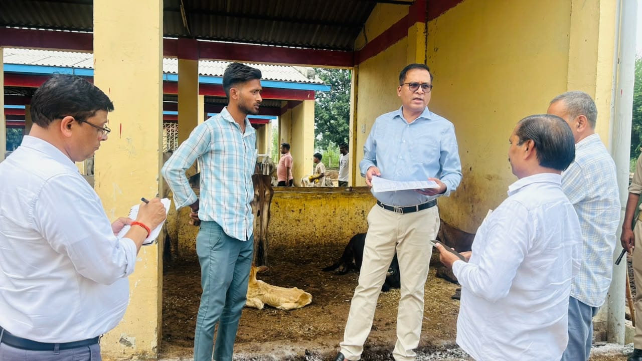 निजामपुर गोटिया की गोशाला का निरीक्षण करते डीएम धर्मेंद्र प्रताप सिंह। स्रोत : सूचना विभाग