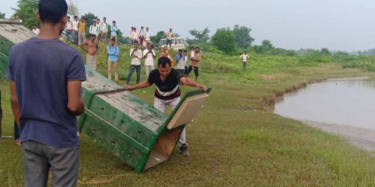 Crocodile enters house; team captures it
