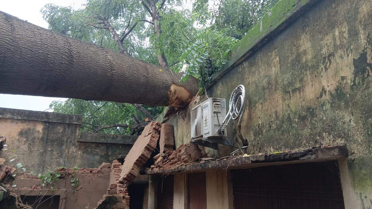 Tree falls on block office; employees escape unhurt.