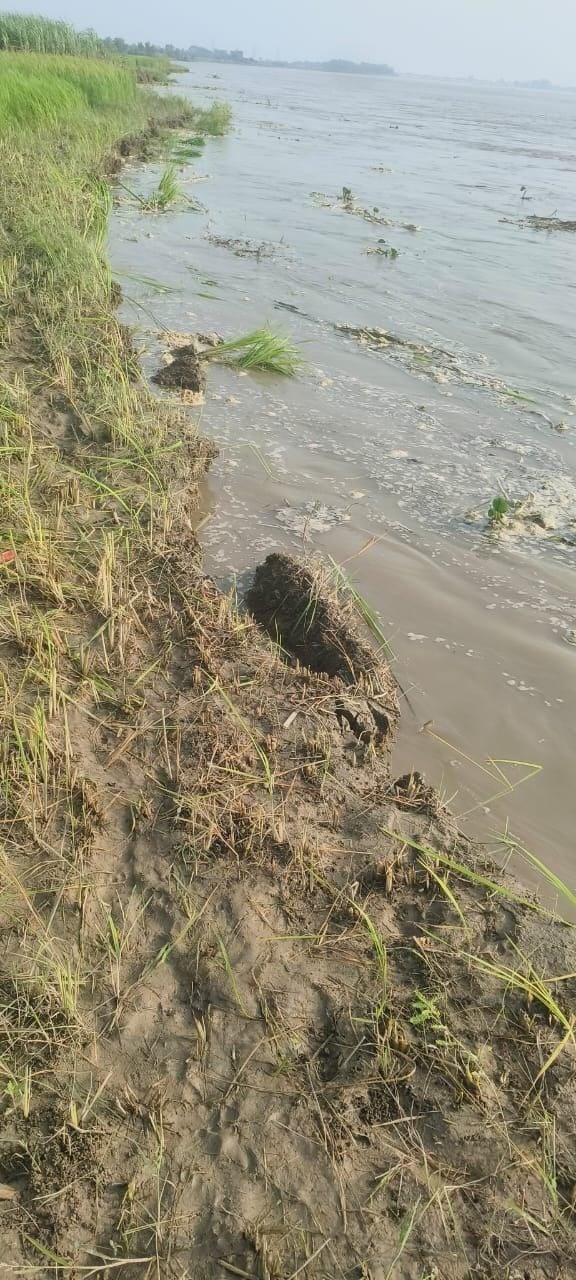 Crops were destroyed in the floods, grains rotted in homes