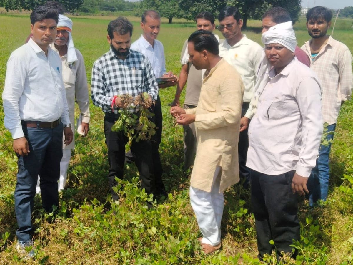 The team found crop damage ranging from 85 to 90 percent.