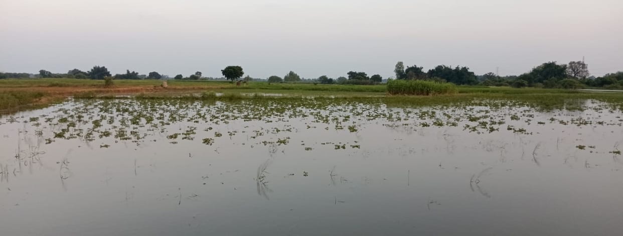 The floods receded, leaving villages hard hit by the stench of mud and rotting crops.