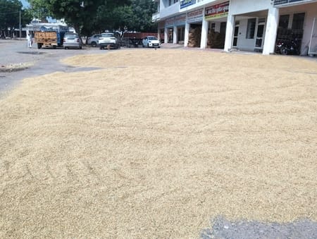 PR paddy procurement will take place at the New Grain Market and the Kasandi procurement center.