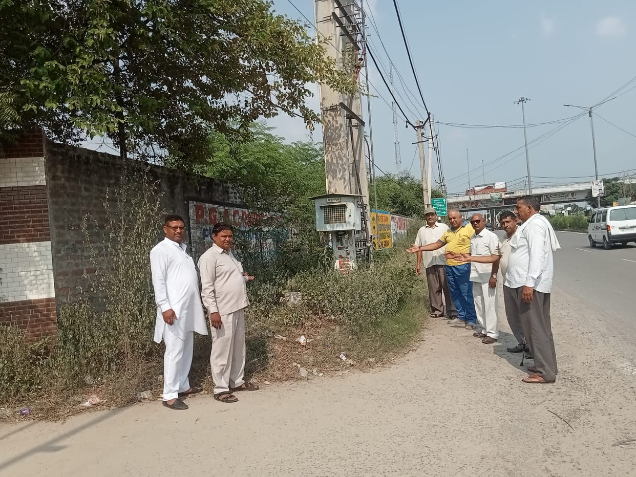 Bushes growing on the footpath; pedestrians forced to walk on the road.