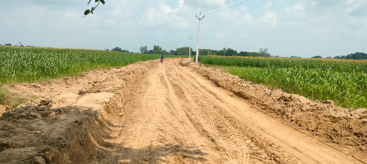 People fleeing via an unpaved path.