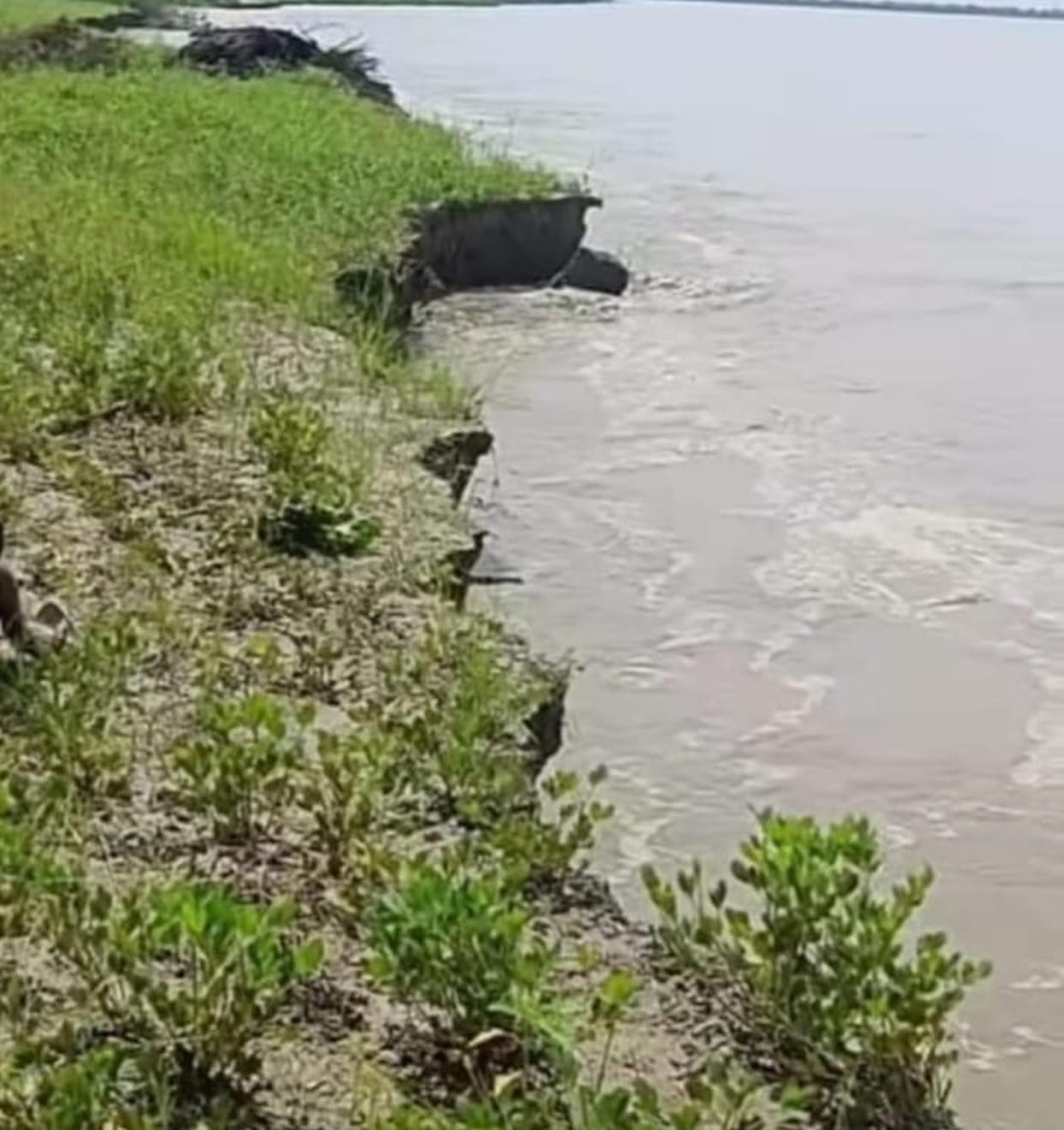 As water levels receded, erosion intensified; 30 bighas of land were swallowed by the Saryu River.