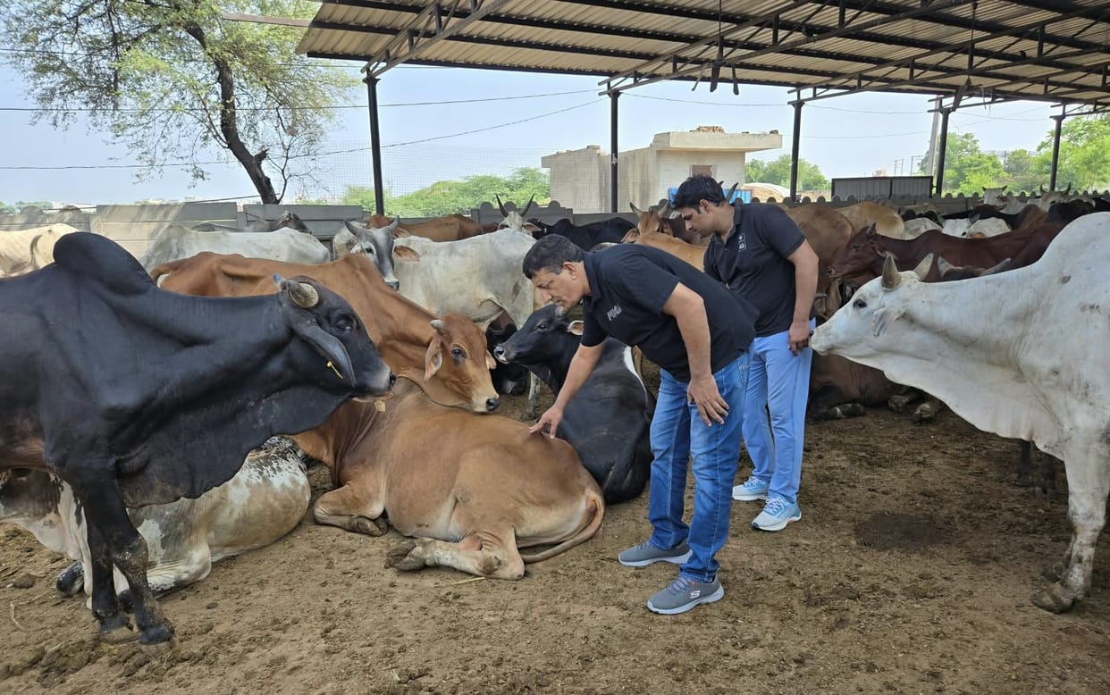 Animal Husbandry Department on alert regarding Lumpy disease prevention; not a single case in the Nandishala