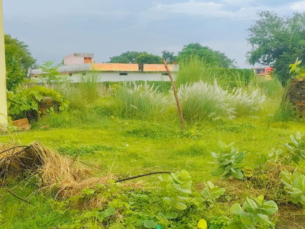 Railway's claims are 'First Class', but the condition of the colonies is 'General