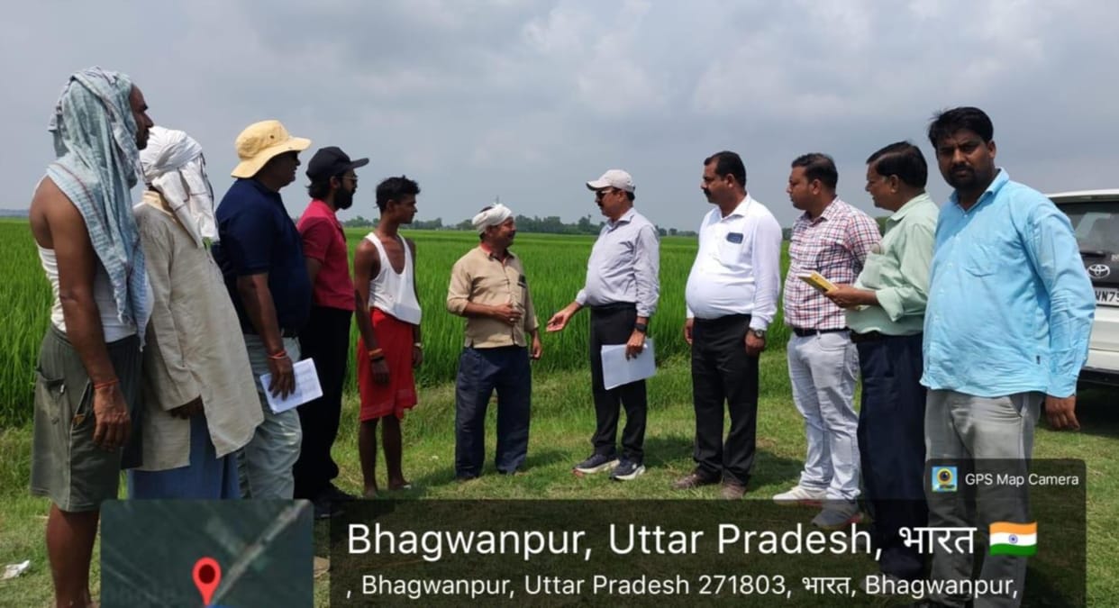 Inspected the UP DASP project.