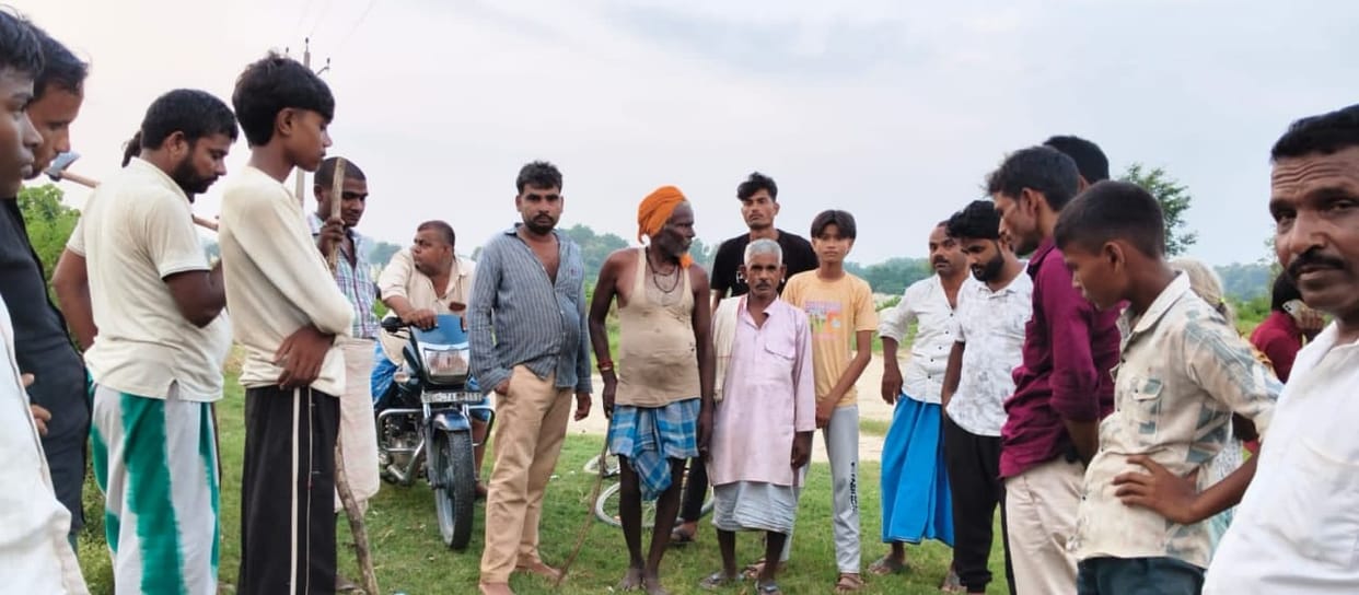 Tiger carries off goat; people in a state of panic