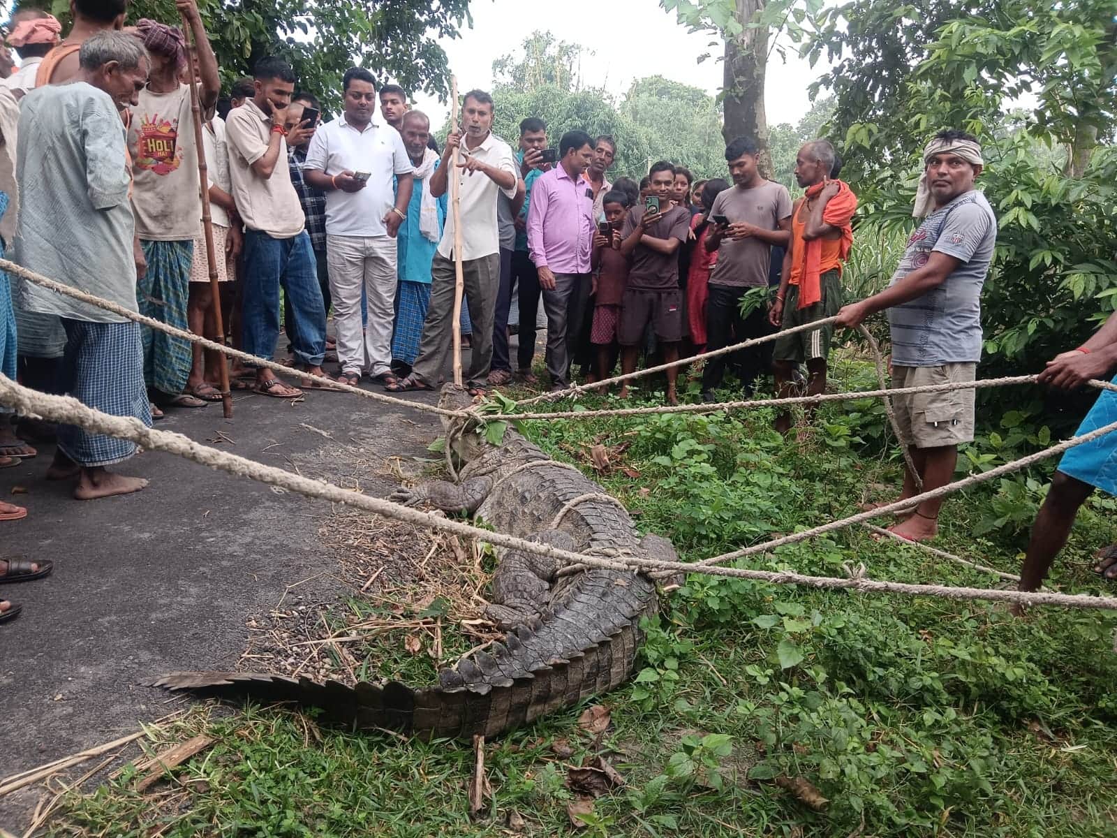 दुदही क्षेत्र के बांसगांव के पास  मगरमच्छ पकड़ते लोग।स्रोत-सोशल मीडिया
