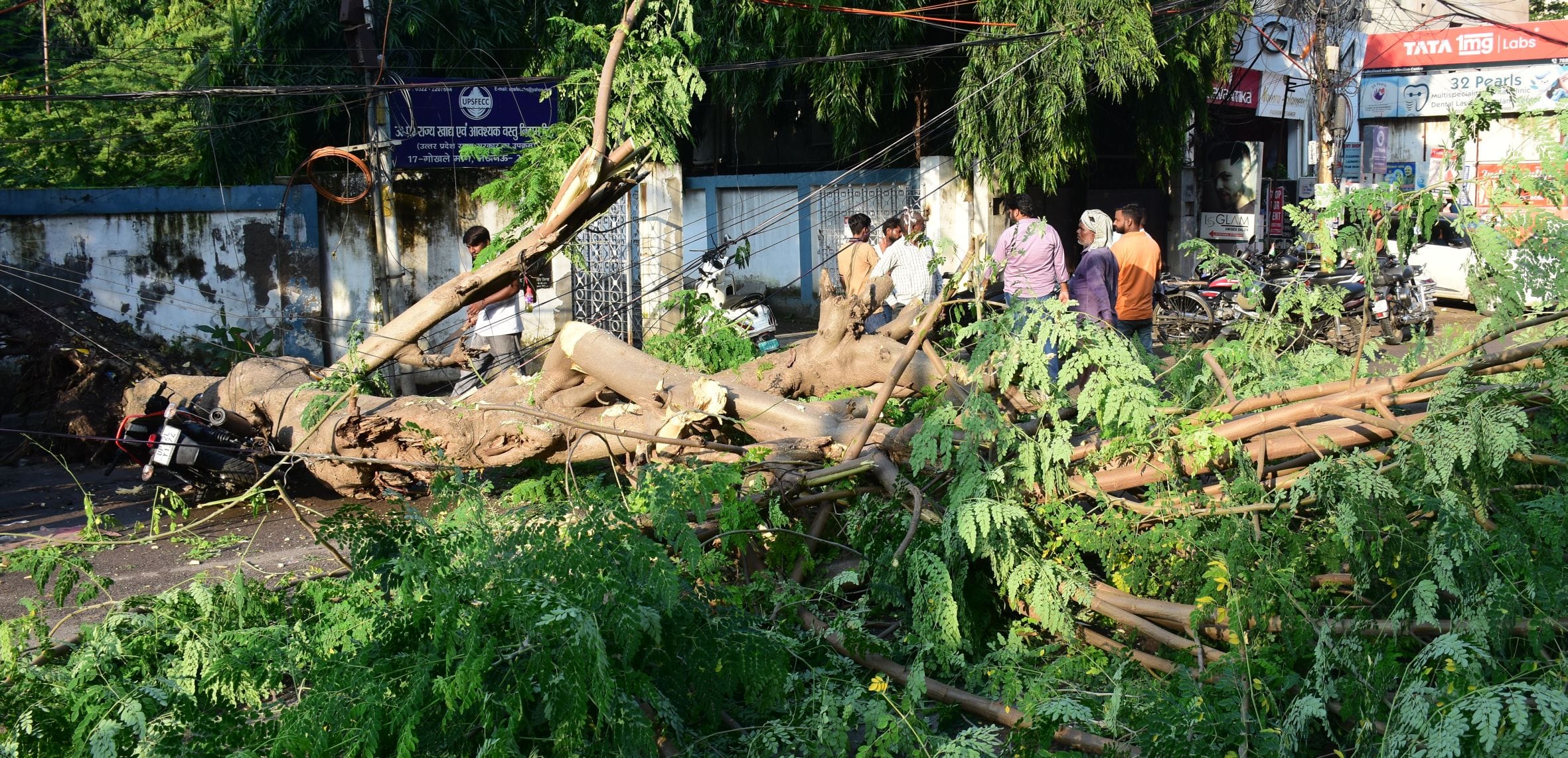 आंधी से गिरे पेड़, बारिश से हुआ जलभराव।
