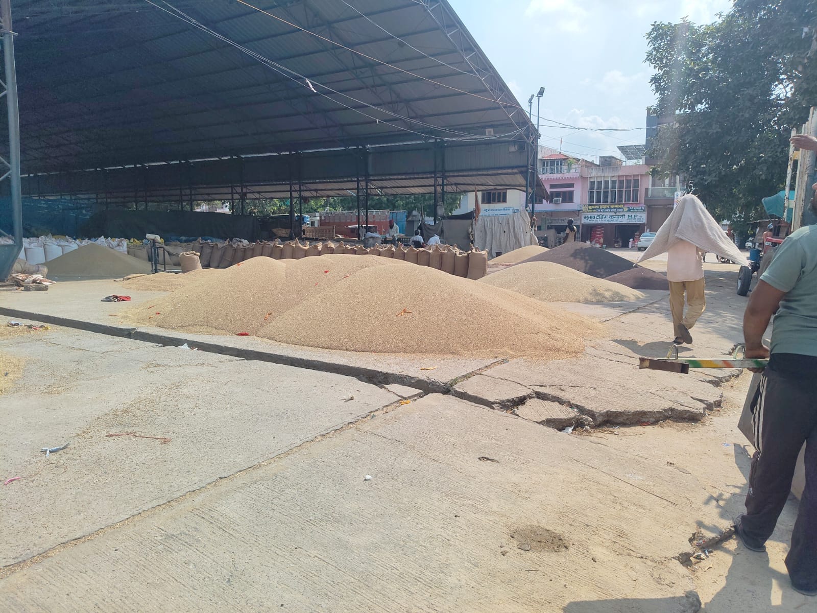 अनाज मंडी में रखा बाजरा। संवाद