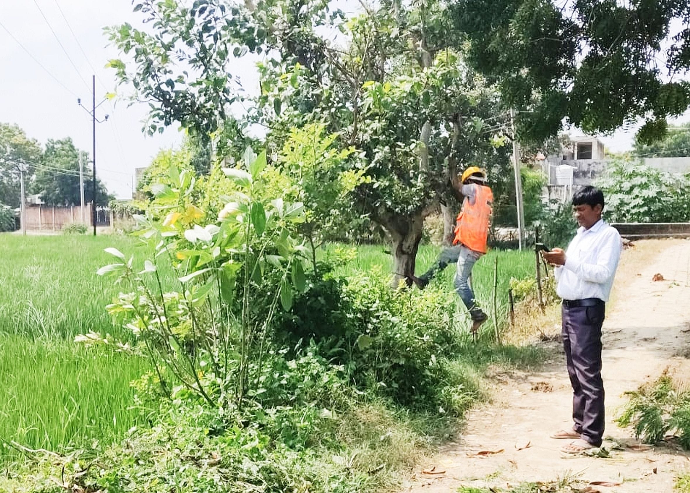  फुरसतगंज में बिजली लाइन की मरम्मत करवाते अवर अभियंता राम अचल गुप्ता। स्रोत- ऊर्जा निगम