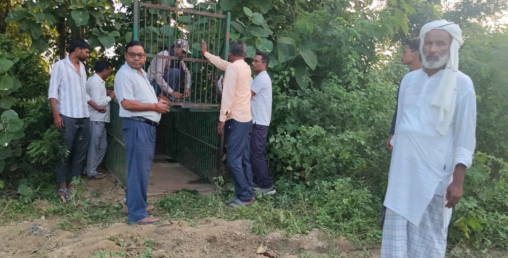 फोटो-10- जरवा के हलौरा में बाघ को पकड़ने के लिए लगाया जा रहा पिंजरा। संवाद