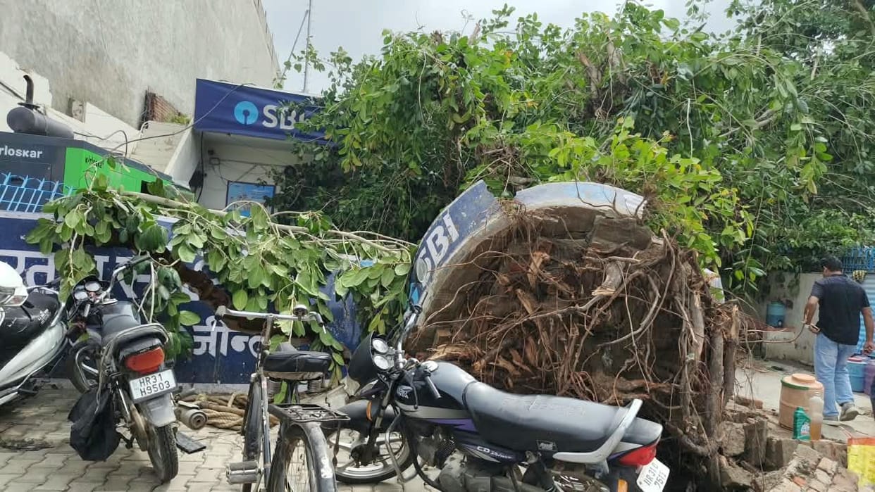 Storm and rain disrupted the situation, uprooting 700 trees and breaking 159 poles, and causing power outages for 12 hours.