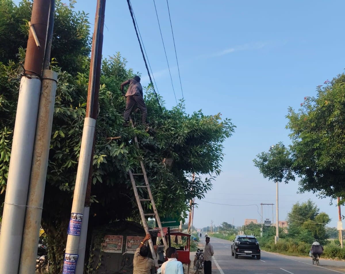 फोटो-28- नगर में बिजली तारों की सफाई करते कर्मी। स्रोत विभाग