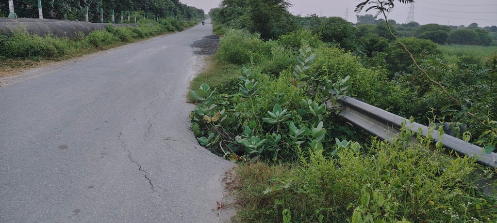 Sunken road... a difficult journey; fear of accidents due to potholes.