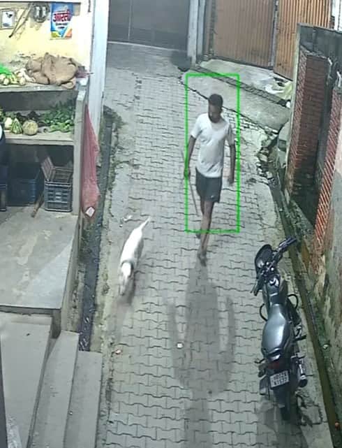 Pitbull set upon mother and son; clamped its jaws on the young man's leg
