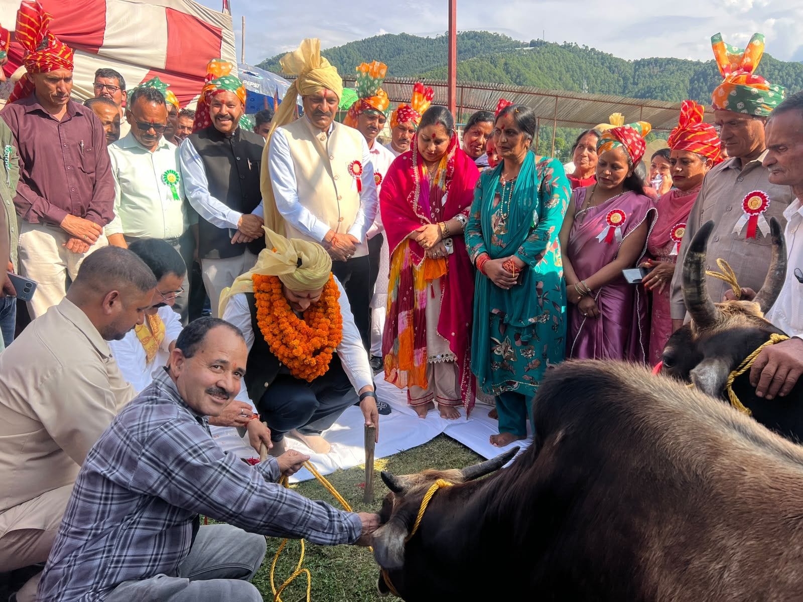 जिला स्तरीय नलवाड़ मेला ख्योड़ का बैल पूजन और खूंटी गाड़ कर शुभारंभ करते नाचन के विधायक विनोद कुमा