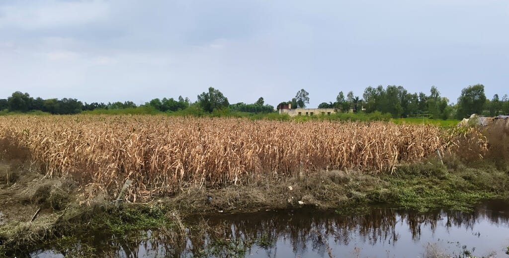 Floodwaters have receded, but drains and ponds continue to pose a problem.