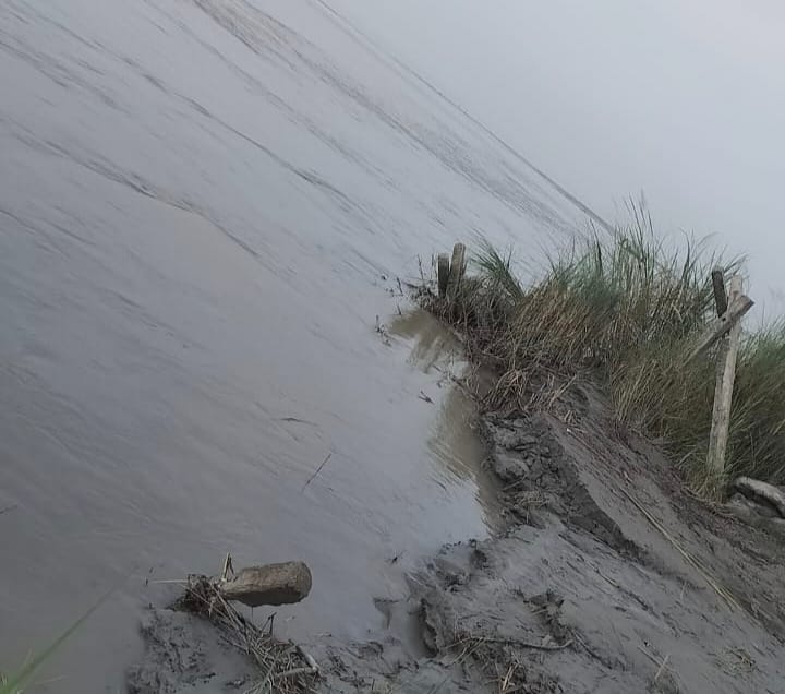 Crops are getting submerged in the river, pressure on the dam remains