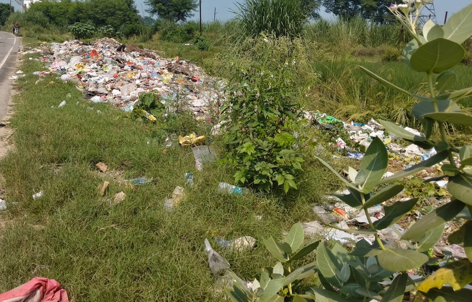 मेरी आवाज सुनो ग्रेटर नोएडा के सेक्टर ओमीक्रोन 1 के बेसमेंट में फैली गंदगी।