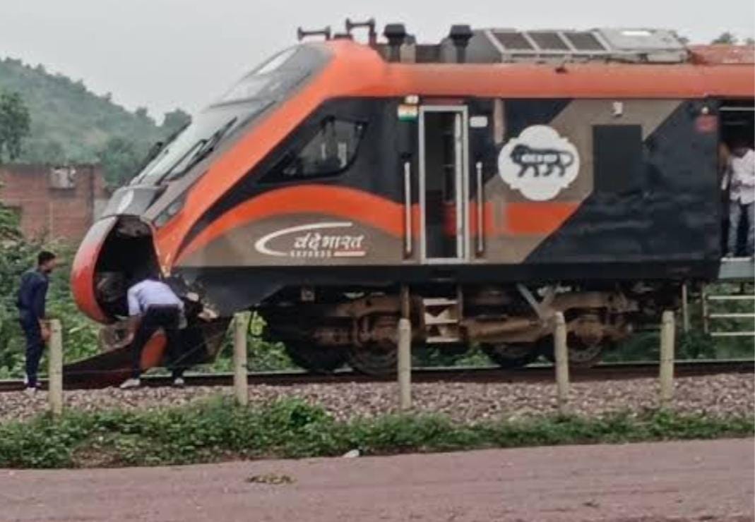 Vande Bharat Express hits calf on railway track; train comes to a halt.