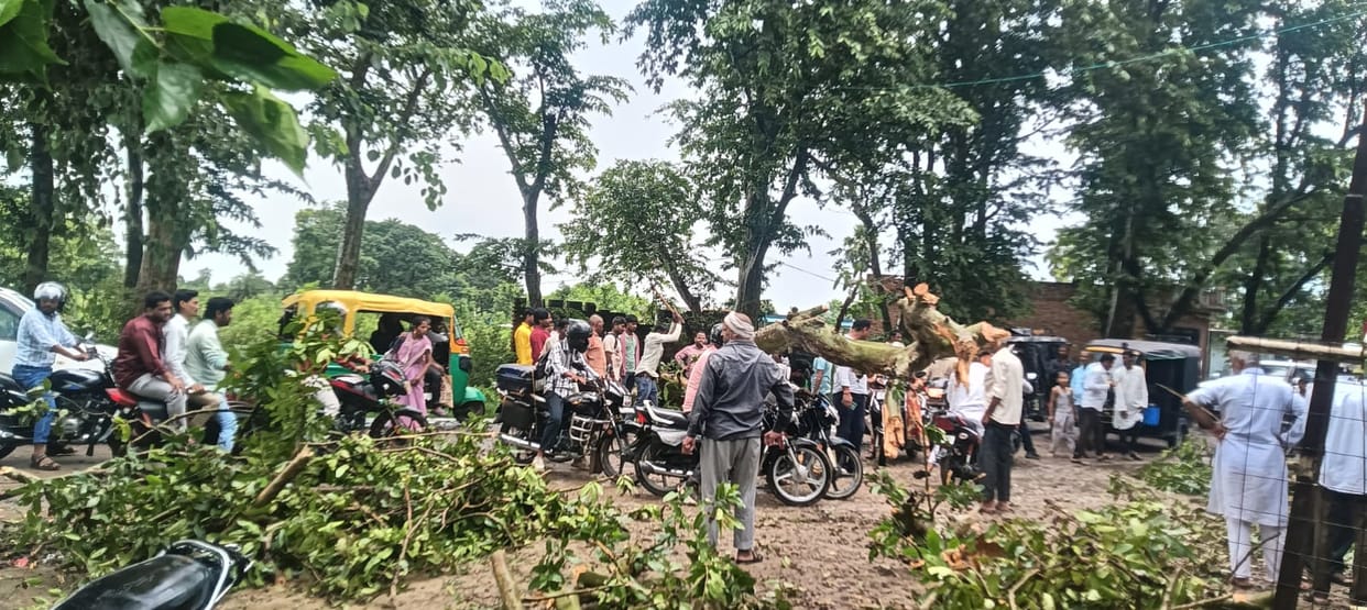 Tree falls near Dudhara intersection during storm and rain; traffic disrupted for an hour.