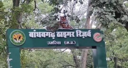 उमरिया: एक अक्तूबर से खुलेगा बांधवगढ़ का कोर एरिया, BS-2 और BS-3 जिप्सियों पर प्रवेश की तैयारी