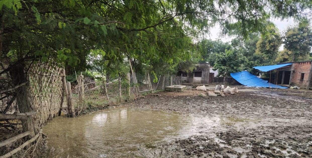 The village lanes turned into a quagmire of mud.