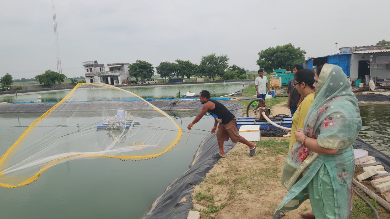 Farmer Shyamapal earns lakhs of rupees from shrimp farming on salt water land