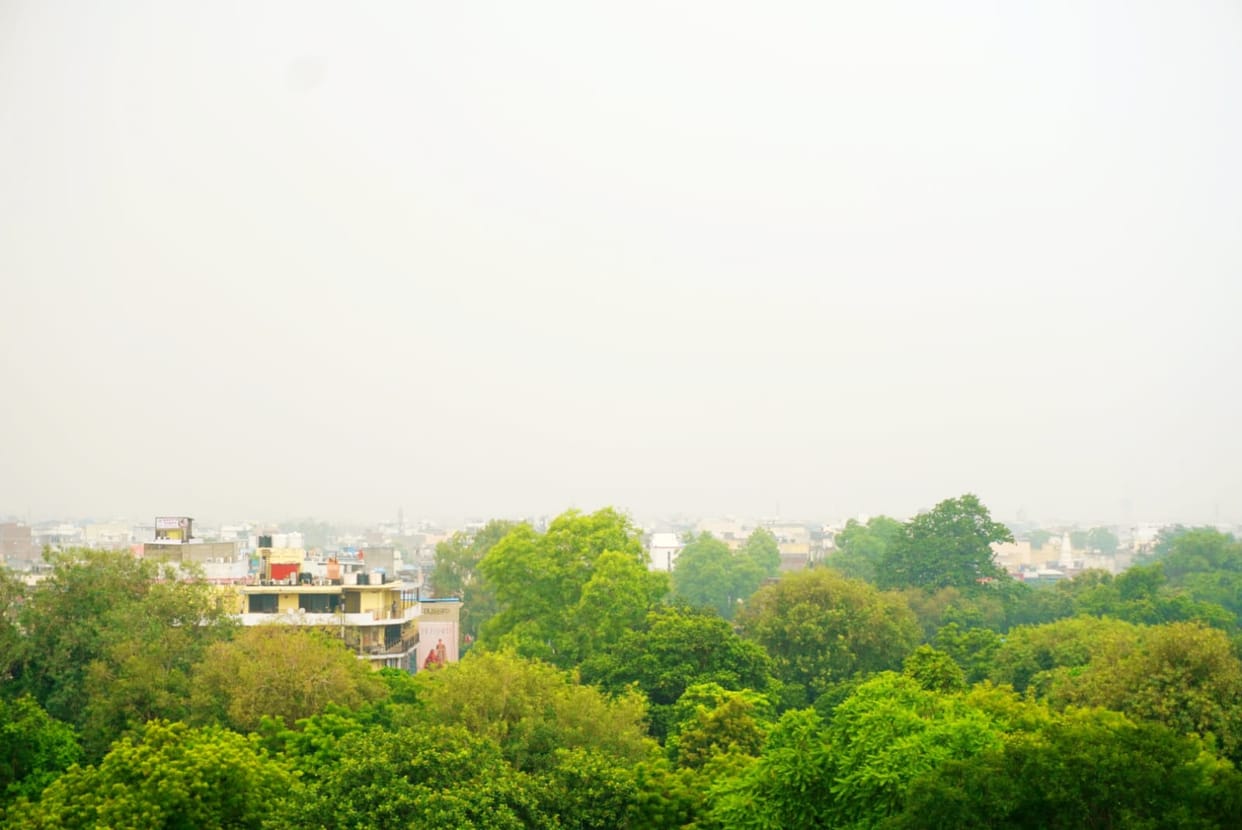 Intense heat and poor air quality have added to people's woes.