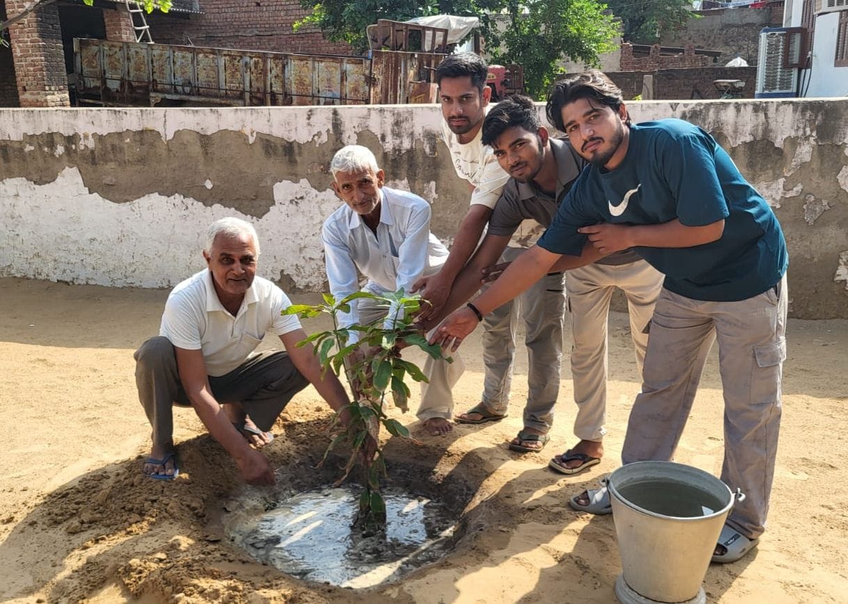 Planted a sapling on granddaughter's birthday