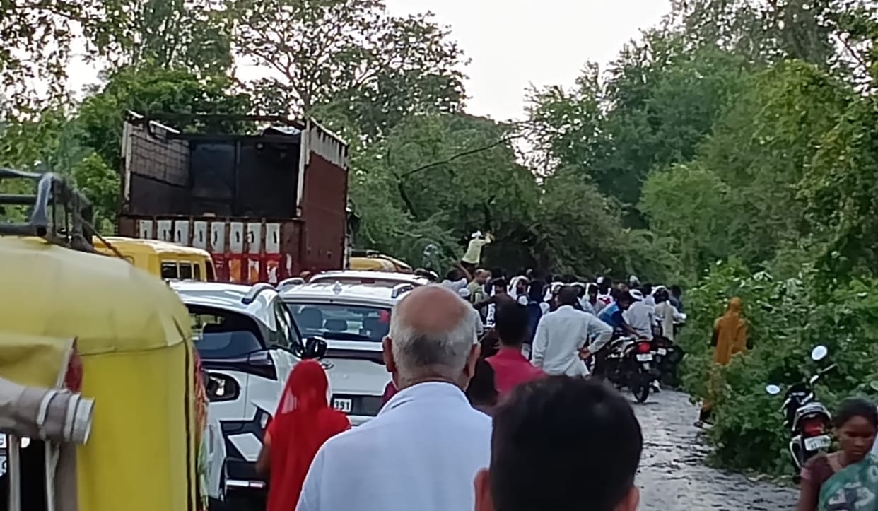 Babool tree falls in strong winds; traffic halted for an hour.