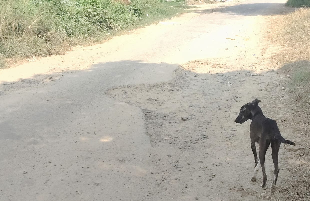 Hear My Voice: Trouble Caused by a Broken Road