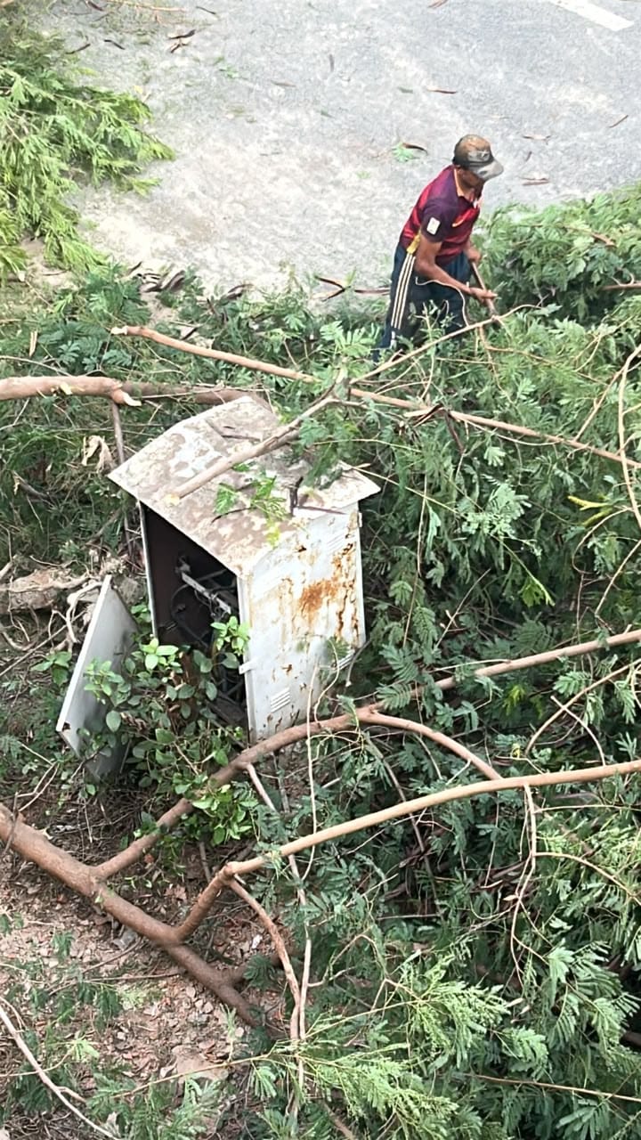 मेरी आवाज सुनो