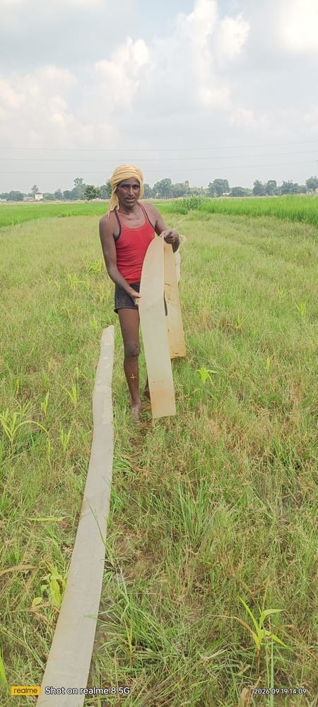 Farmers in distress due to a lacklustre monsoon; irrigation has raised farming costs.