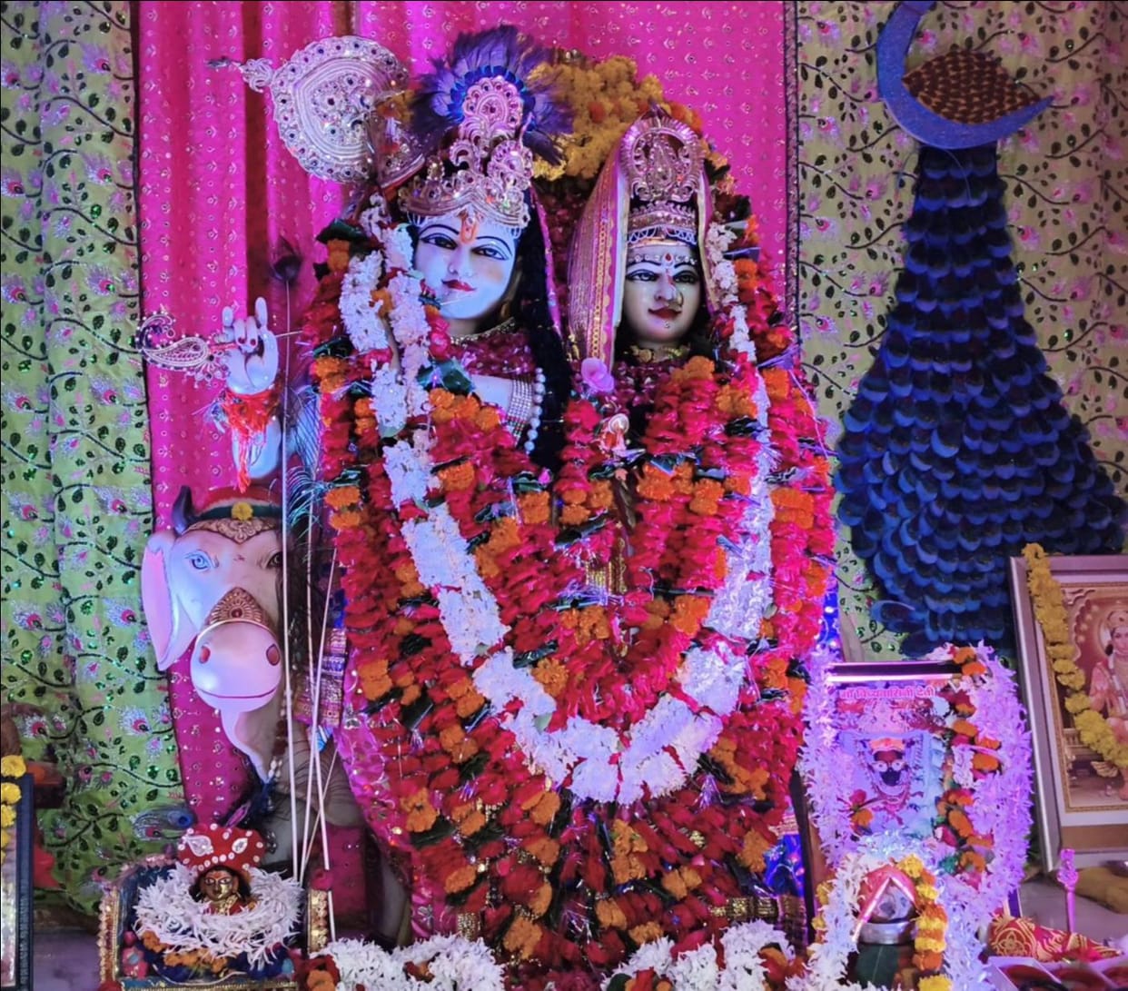 Chhappan Bhog' offered and grand adornment performed at Banke Bihari Temple on Radhashtami