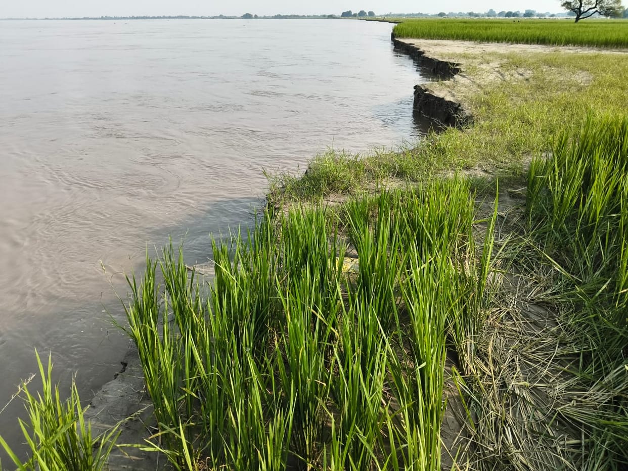 The water level of Saryu decreased by 24 cm.