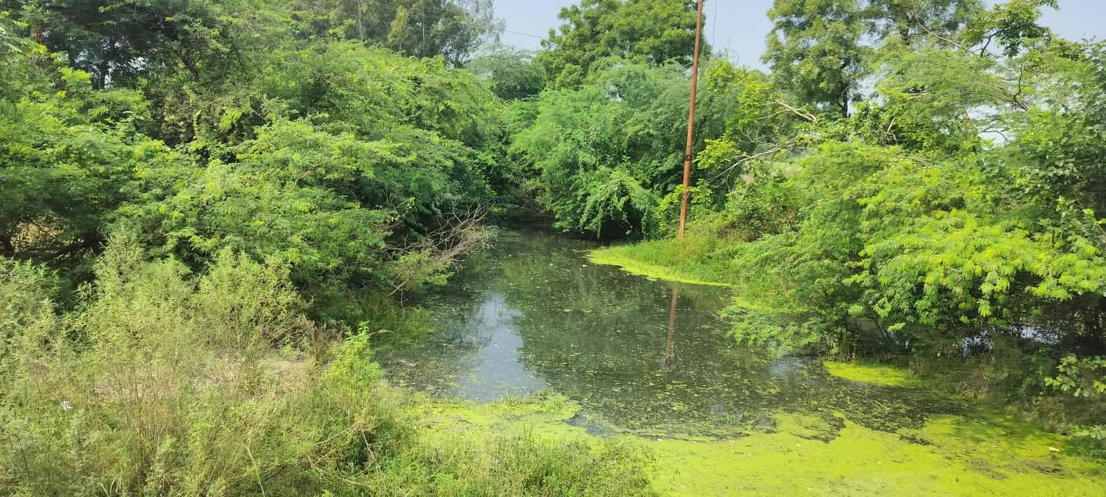 सकीट क्षेत्र में गंदगी से अटी पड़ी काक  नदी। संवाद