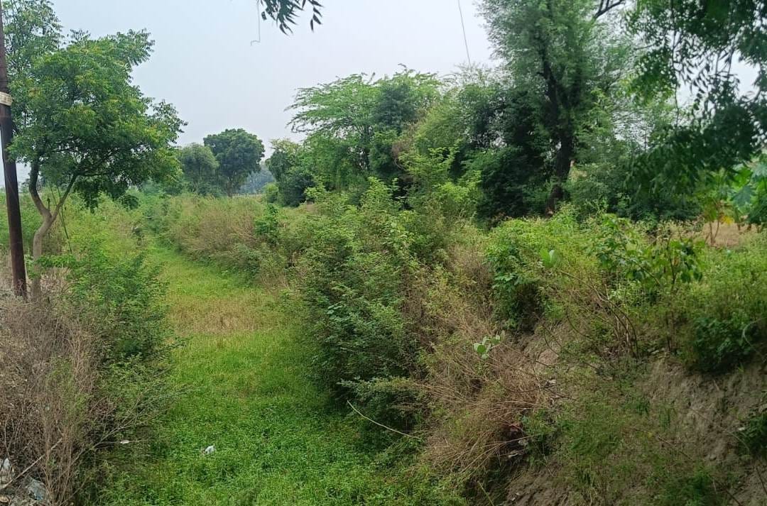 सूखा पड़ा रतनपुर चिरूकुआ सराय प्रथम रजवाह। संवाद