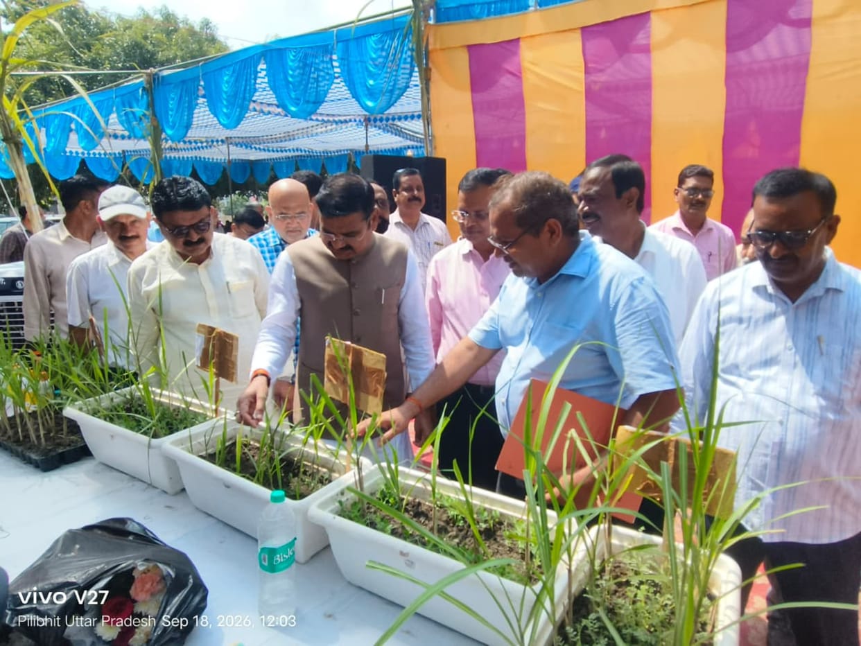 Check your sugarcane allotment records before the sugar mills begin operations.