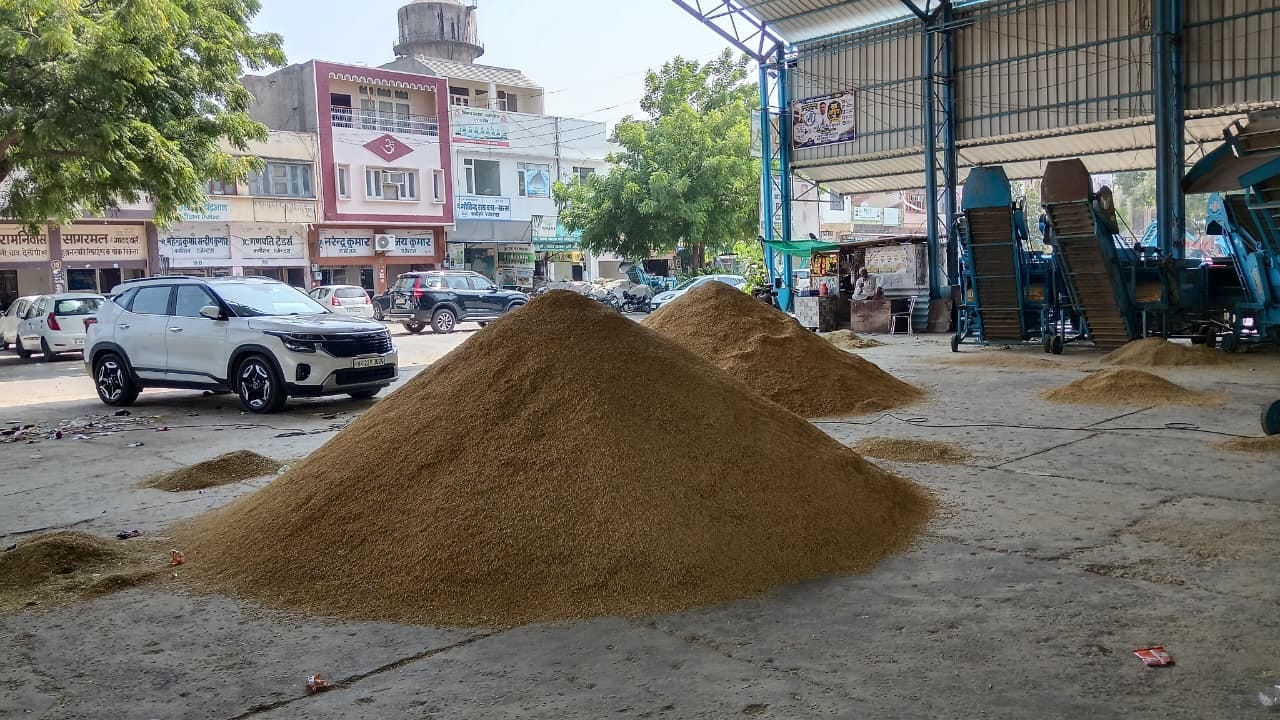 शहर की पुरानी अनाज मंडी में निजी खरीद के लिए पहुंचा धान। संवाद