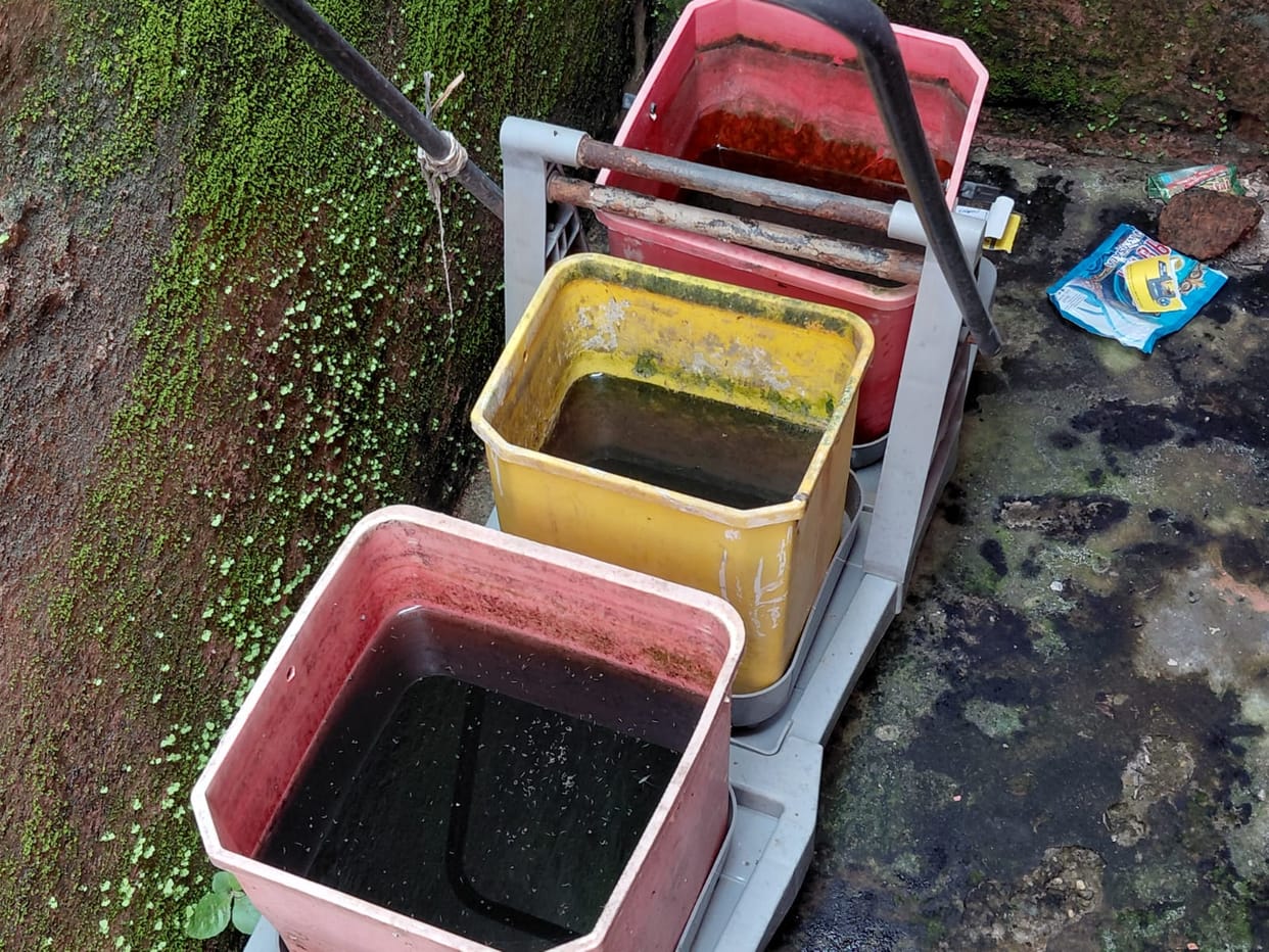 Accumulation of clean water in various places; risk of dengue larvae breeding.