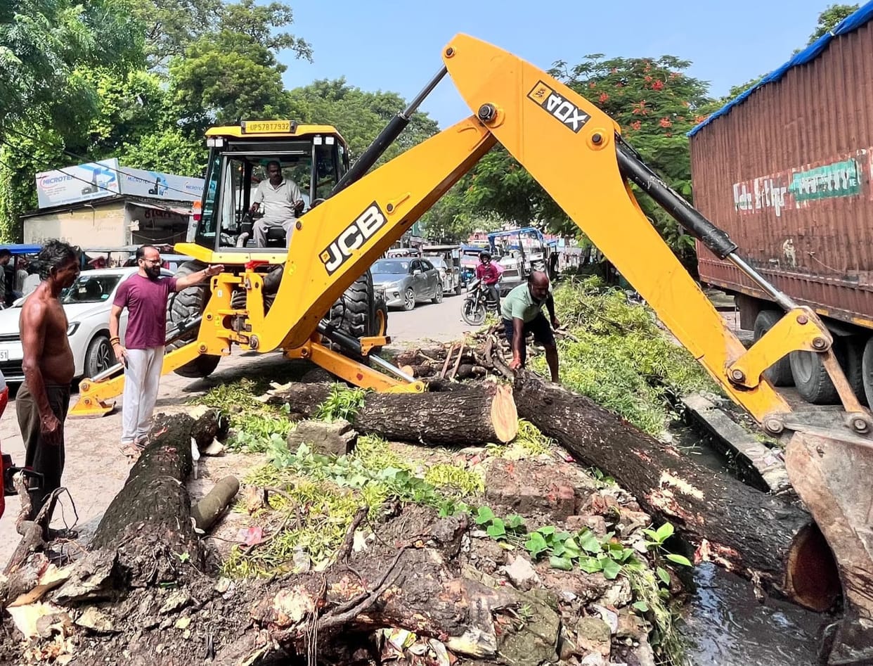 A tree fell in heavy rain, disrupting the movement of heavy vehicles